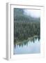 Mt. Rainier National Park, WA-Justin Bailie-Framed Photographic Print