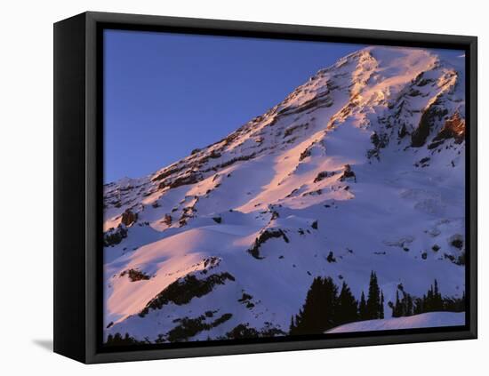 Mt. Rainier National Park, Washington, USA-Charles Gurche-Framed Stretched Canvas
