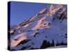 Mt. Rainier National Park, Washington, USA-Charles Gurche-Stretched Canvas