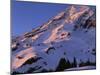 Mt. Rainier National Park, Washington, USA-Charles Gurche-Mounted Photographic Print