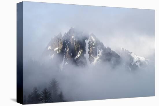 Mt Rainier National Park-Steve Gadomski-Stretched Canvas