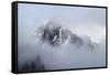 Mt Rainier National Park-Steve Gadomski-Framed Stretched Canvas