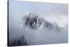 Mt Rainier National Park-Steve Gadomski-Stretched Canvas