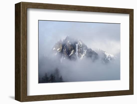 Mt Rainier National Park-Steve Gadomski-Framed Photographic Print