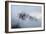 Mt Rainier National Park-Steve Gadomski-Framed Photographic Print