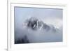 Mt Rainier National Park-Steve Gadomski-Framed Photographic Print