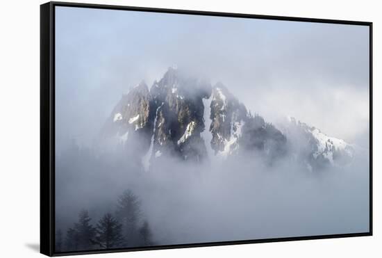 Mt Rainier National Park-Steve Gadomski-Framed Stretched Canvas