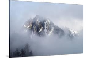 Mt Rainier National Park-Steve Gadomski-Stretched Canvas
