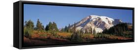 Mt. Rainier NP, Wa, Sunrise on the Southern Slope of the Mountain-Greg Probst-Framed Stretched Canvas