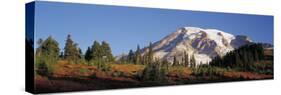 Mt. Rainier NP, Wa, Sunrise on the Southern Slope of the Mountain-Greg Probst-Stretched Canvas