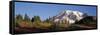 Mt. Rainier NP, Wa, Sunrise on the Southern Slope of the Mountain-Greg Probst-Framed Stretched Canvas