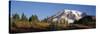 Mt. Rainier NP, Wa, Sunrise on the Southern Slope of the Mountain-Greg Probst-Stretched Canvas