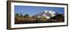 Mt. Rainier NP, Wa, Sunrise on the Southern Slope of the Mountain-Greg Probst-Framed Premium Photographic Print