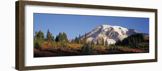 Mt. Rainier NP, Wa, Sunrise on the Southern Slope of the Mountain-Greg Probst-Framed Photographic Print