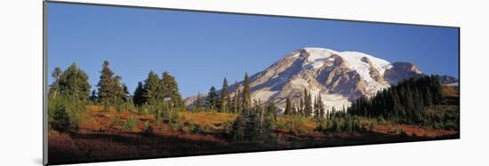 Mt. Rainier NP, Wa, Sunrise on the Southern Slope of the Mountain-Greg Probst-Mounted Photographic Print