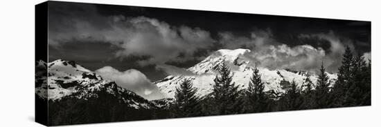 Mt Rainier Panorama BW-Steve Gadomski-Stretched Canvas