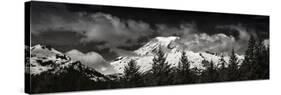 Mt Rainier Panorama BW-Steve Gadomski-Stretched Canvas