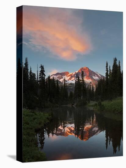 Mt Rainier Reflected in Mirror Pond, Mt Rainier NP, Washington, USA-Gary Luhm-Stretched Canvas