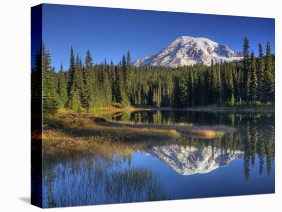 Mt. Rainier Reflected in Reflection Lake, Mt. Rainier National Park, Washington, Usa-Jamie & Judy Wild-Stretched Canvas