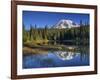 Mt. Rainier Reflected in Reflection Lake, Mt. Rainier National Park, Washington, Usa-Jamie & Judy Wild-Framed Photographic Print