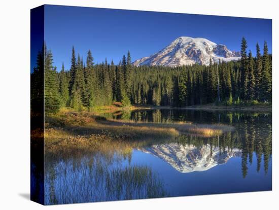 Mt. Rainier Reflected in Reflection Lake, Mt. Rainier National Park, Washington, Usa-Jamie & Judy Wild-Stretched Canvas