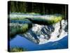 Mt. Rainier Reflected in Reflection Lake, Washington, USA-Charles Sleicher-Stretched Canvas