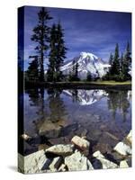 Mt. Rainier Reflected in Tarn, Mt. Rainier National Park, Washington, USA-Jamie & Judy Wild-Stretched Canvas