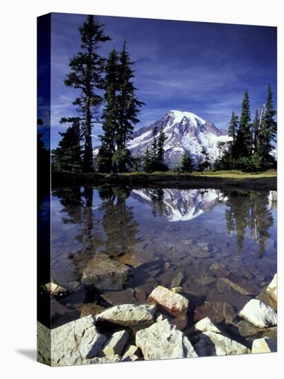 Mt. Rainier Reflected in Tarn, Mt. Rainier National Park, Washington, USA-Jamie & Judy Wild-Stretched Canvas