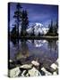 Mt. Rainier Reflected in Tarn, Mt. Rainier National Park, Washington, USA-Jamie & Judy Wild-Stretched Canvas