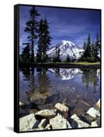 Mt. Rainier Reflected in Tarn, Mt. Rainier National Park, Washington, USA-Jamie & Judy Wild-Framed Stretched Canvas