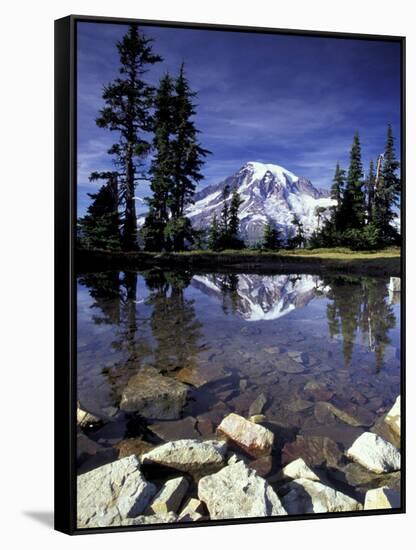 Mt. Rainier Reflected in Tarn, Mt. Rainier National Park, Washington, USA-Jamie & Judy Wild-Framed Stretched Canvas