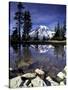 Mt. Rainier Reflected in Tarn, Mt. Rainier National Park, Washington, USA-Jamie & Judy Wild-Stretched Canvas