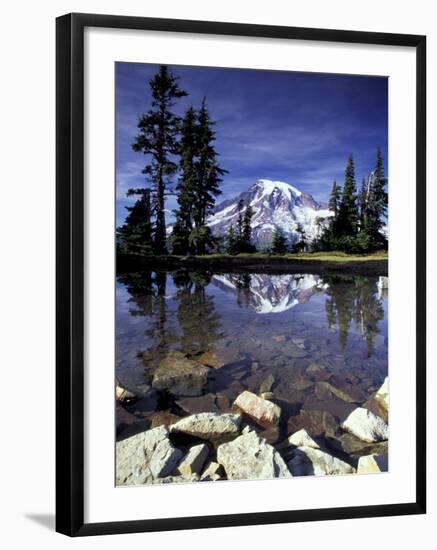 Mt. Rainier Reflected in Tarn, Mt. Rainier National Park, Washington, USA-Jamie & Judy Wild-Framed Premium Photographic Print