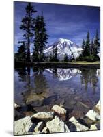Mt. Rainier Reflected in Tarn, Mt. Rainier National Park, Washington, USA-Jamie & Judy Wild-Mounted Premium Photographic Print