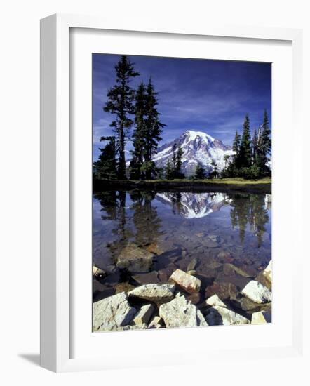 Mt. Rainier Reflected in Tarn, Mt. Rainier National Park, Washington, USA-Jamie & Judy Wild-Framed Photographic Print