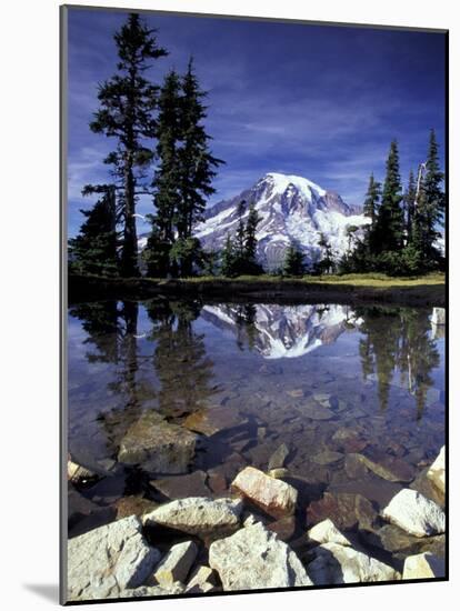 Mt. Rainier Reflected in Tarn, Mt. Rainier National Park, Washington, USA-Jamie & Judy Wild-Mounted Photographic Print