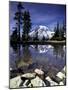 Mt. Rainier Reflected in Tarn, Mt. Rainier National Park, Washington, USA-Jamie & Judy Wild-Mounted Photographic Print