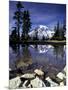 Mt. Rainier Reflected in Tarn, Mt. Rainier National Park, Washington, USA-Jamie & Judy Wild-Mounted Photographic Print