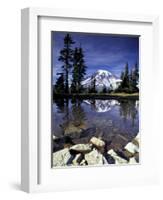 Mt. Rainier Reflected in Tarn, Mt. Rainier National Park, Washington, USA-Jamie & Judy Wild-Framed Photographic Print