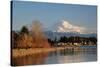 Mt. Rainier Sunset-nikon700photog-Stretched Canvas