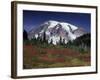 Mt. Rainier View from Paradise, Mt. Rainier National Park, Washington, USA-Jamie & Judy Wild-Framed Photographic Print