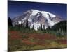 Mt. Rainier View from Paradise, Mt. Rainier National Park, Washington, USA-Jamie & Judy Wild-Mounted Photographic Print