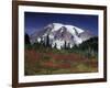 Mt. Rainier View from Paradise, Mt. Rainier National Park, Washington, USA-Jamie & Judy Wild-Framed Photographic Print