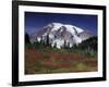 Mt. Rainier View from Paradise, Mt. Rainier National Park, Washington, USA-Jamie & Judy Wild-Framed Photographic Print