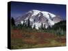 Mt. Rainier View from Paradise, Mt. Rainier National Park, Washington, USA-Jamie & Judy Wild-Stretched Canvas