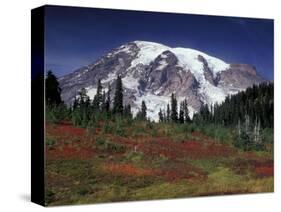 Mt. Rainier View from Paradise, Mt. Rainier National Park, Washington, USA-Jamie & Judy Wild-Stretched Canvas