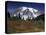 Mt. Rainier View from Paradise, Mt. Rainier National Park, Washington, USA-Jamie & Judy Wild-Stretched Canvas