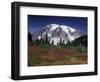 Mt. Rainier View from Paradise, Mt. Rainier National Park, Washington, USA-Jamie & Judy Wild-Framed Photographic Print