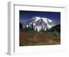Mt. Rainier View from Paradise, Mt. Rainier National Park, Washington, USA-Jamie & Judy Wild-Framed Photographic Print