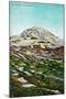 Mt. Rainier View - Rainier National Park-Lantern Press-Mounted Art Print